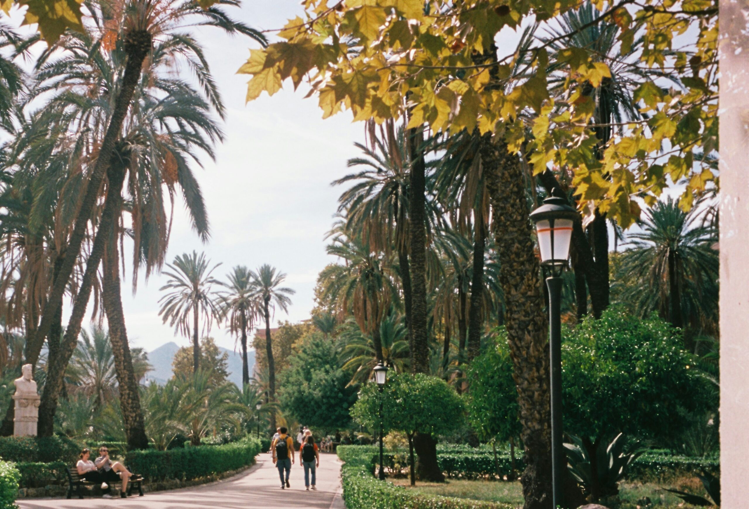 Parque de Málaga palms