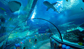 Aquarium with fish
